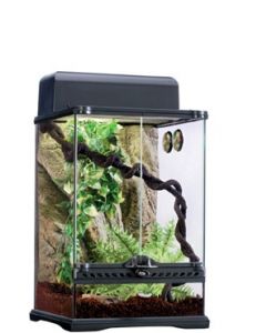 HABITAT KIT RAINFOREST  SMALL